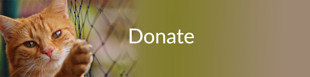 donate pet food